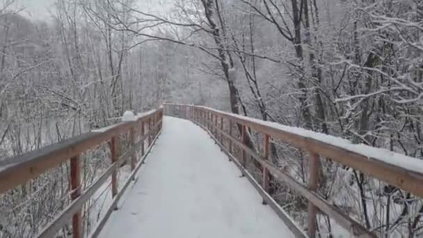 Зимой Выпало Много Свежего Снега Движение Камеры Деревянному Мосту Через — стоковое видео