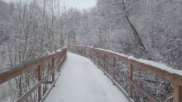 Vinterdag Masse Frisk Sne Faldt Bevægelsen Kameraet Langs Træbroen Gennem – Stock-video
