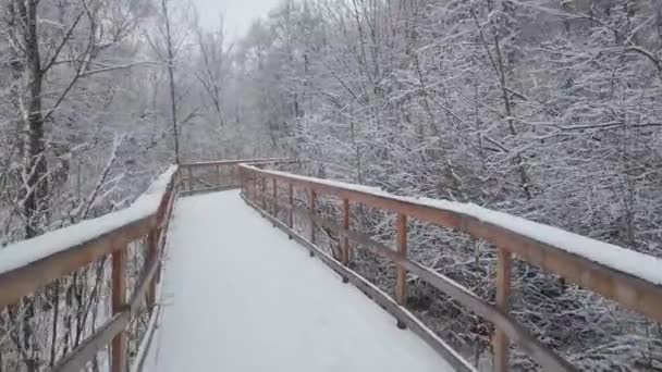 Wintertag Fiel Viel Neuschnee Die Bewegung Der Kamera Entlang Der — Stockvideo