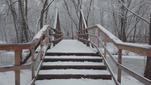 下了很多新雪 摄像机沿着木桥穿过公园的运动 — 图库视频影像