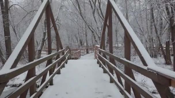 冬の日は新雪がたくさん降りました 公園を通って木製の橋に沿ってカメラの動き — ストック動画