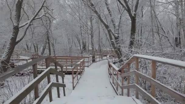 Зимой Выпало Много Свежего Снега Движение Камеры Деревянному Мосту Через — стоковое видео