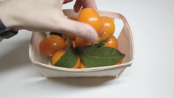 Tangerinas Uma Cesta Madeira Humano Toca Tangerinas Com Mãos — Vídeo de Stock