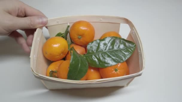Tangerinky Dřevěném Koši Člověk Dotýká Mandarinek Rukama — Stock video