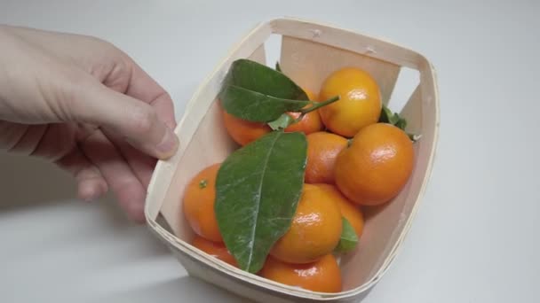 Tangerinas Uma Cesta Madeira Humano Toca Tangerinas Com Mãos — Vídeo de Stock