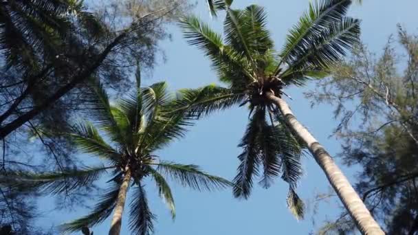 Mer et rocher dans la plage secrète Banana Beach, Phuket Thaïlande 