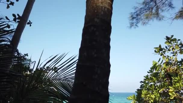 Mer Rocher Dans Plage Secrète Banana Beach Phuket Thaïlande — Video