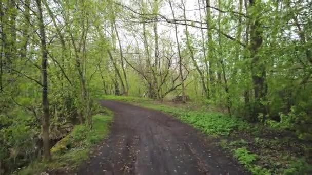 Прогулянка Брудній Заміській Дорозі Краю Лісу — стокове відео