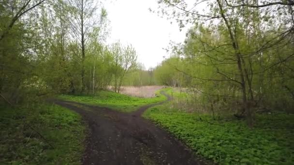 Ormanın Kenarında Toprak Bir Köy Yolunda Yürü — Stok video