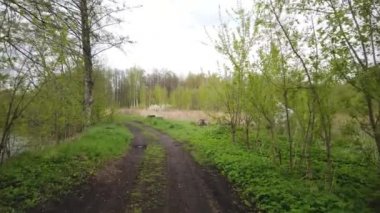 Ormanın kenarında toprak bir köy yolunda yürü.