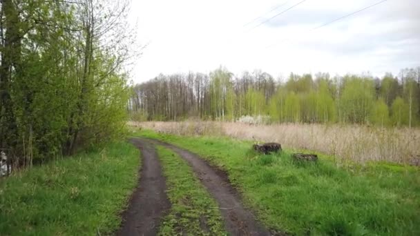 Camina Por Camino Tierra Largo Del Borde Del Bosque — Vídeo de stock