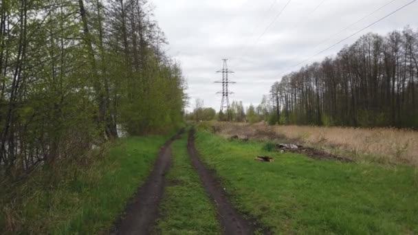 Wandeling Langs Een Onverharde Landweg Langs Rand Van Het Bos — Stockvideo