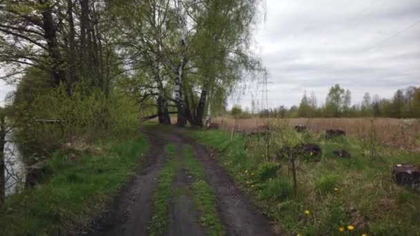 Wandeling Langs Een Onverharde Landweg Langs Rand Van Het Bos — Stockvideo