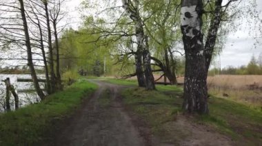 Ormanın kenarında toprak bir köy yolunda yürü.