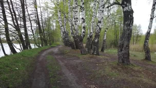 Wandeling Langs Een Onverharde Landweg Langs Rand Van Het Bos — Stockvideo