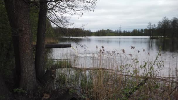 Émissions de déchets dans l'eau, pollution de l'eau. Un grand tuyau de l'usine pollue l'écologie de la rivière .