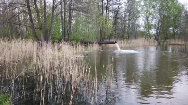 Emisiones Residuos Agua Contaminación Del Agua Una Gran Tubería Planta — Vídeos de Stock