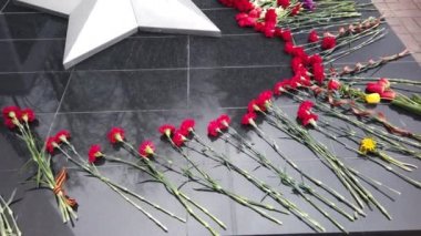 Kırmızı çiçekler, İkinci Dünya Savaşı anısına ebedi ateşin yanında uzanır. Yakın görüş. Yavaş çekim.