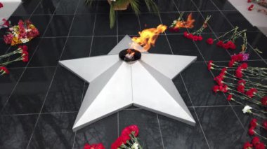 Kırmızı çiçekler, İkinci Dünya Savaşı anısına ebedi ateşin yanında uzanır. Yakın görüş. Yavaş çekim.