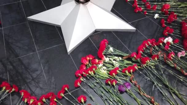 Bunga Merah Berada Dekat Api Abadi Pada Peringatan Perang Dunia — Stok Video