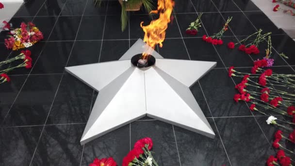 Rote Blumen Liegen Der Nähe Des Ewigen Feuers Denkmal Des — Stockvideo