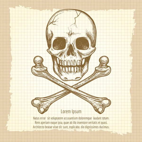 Caveira ossos cruzados e lugar para texto —  Vetores de Stock
