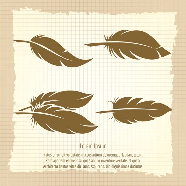 Vintage feather set on notebook page — Stock Vector