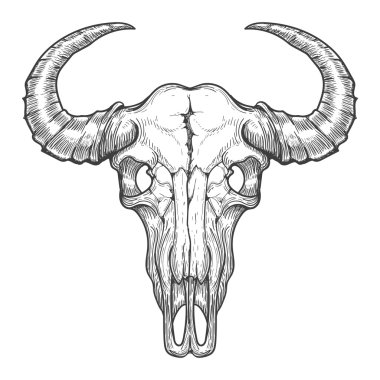 Buffalo Skull kroki