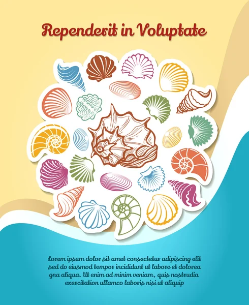 Cartel de viaje de verano con dibujos de conchas marinas — Vector de stock