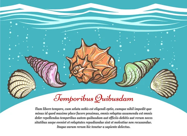 Deniz kabukları ile sualtı seyahat poster — Stok Vektör