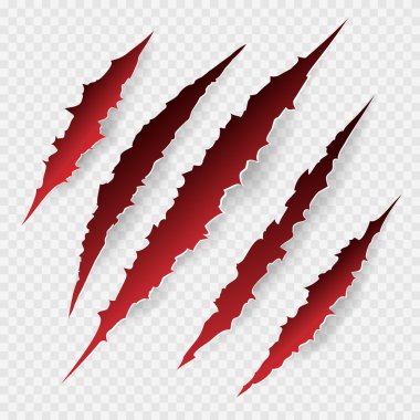 Scratches isolated on transparent background clipart