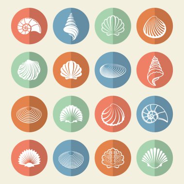 Beyaz deniz kabukları Icons set
