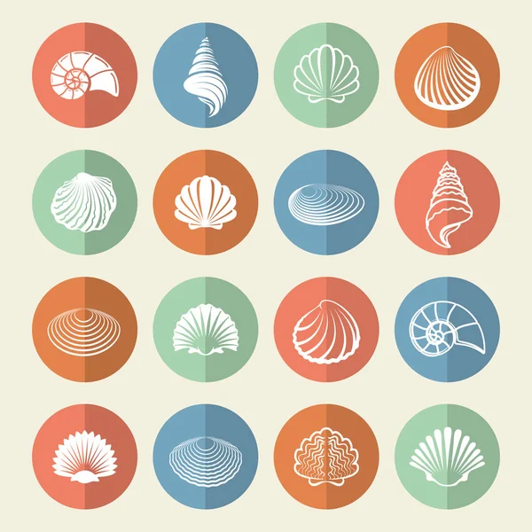 White sea shells icons set — Stock Vector