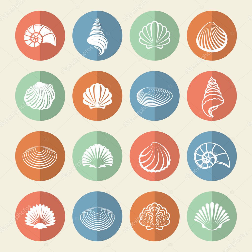 White sea shells icons set in colorful circles. Vector illustration