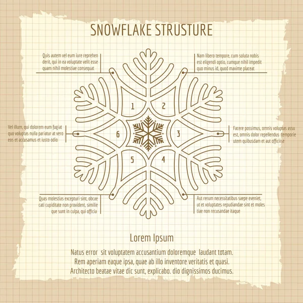 Snowflake estrutura cartaz vintage — Vetor de Stock