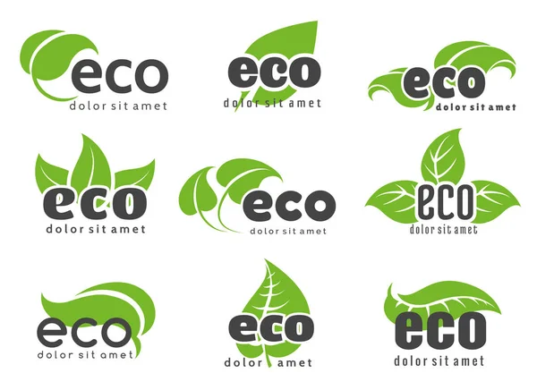 Rótulos de logotipo Eco e natureza — Vetor de Stock