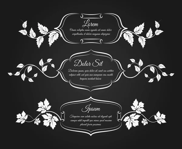 Vintage frames met florale decoratieve elementen — Stockvector