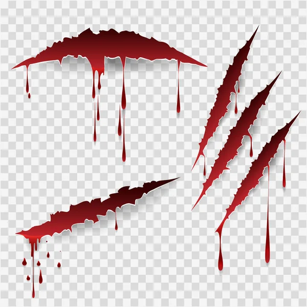 Bloody scratch marks — Stock Vector