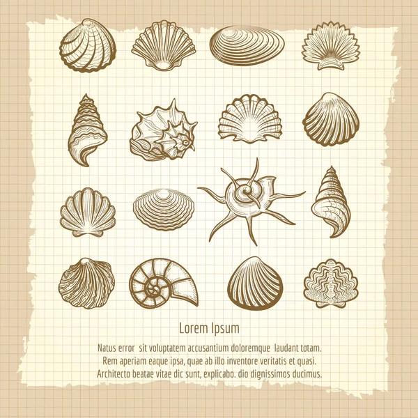 Vintage notebook page with sea shells — Stock Vector