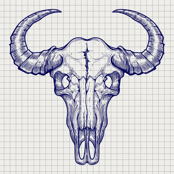 Kugelschreiber Büffelschädel-Skizze — Stockvektor
