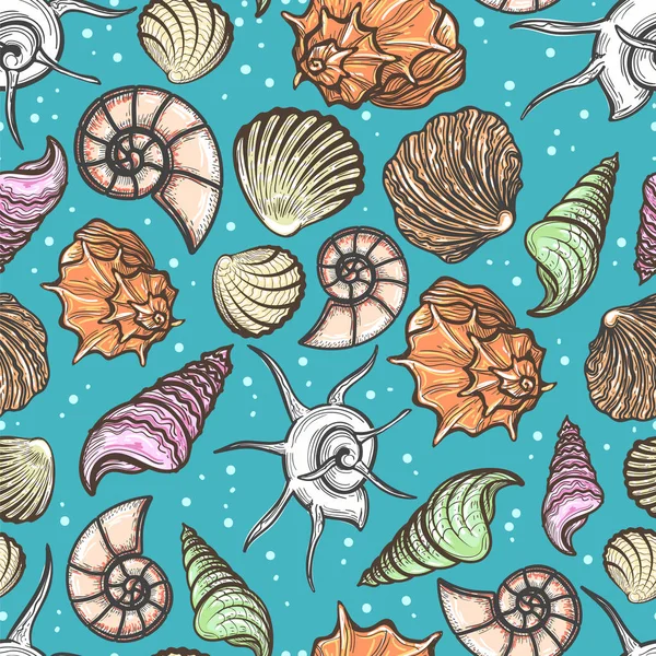 Patrón sin costura océano con conchas de mar de colores — Archivo Imágenes Vectoriales