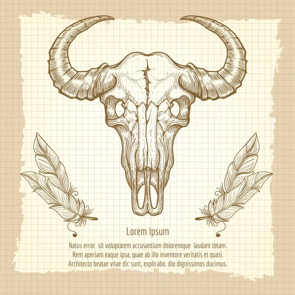 Buffalo schedel op vintage achtergrond — Stockvector