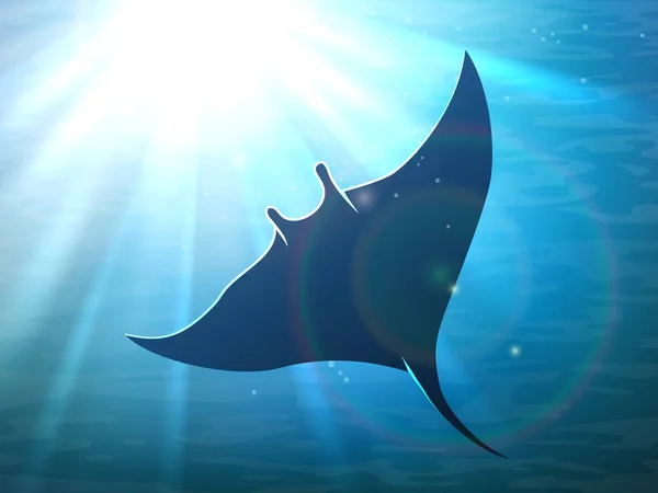Mörka manta ray i havet — Stock vektor