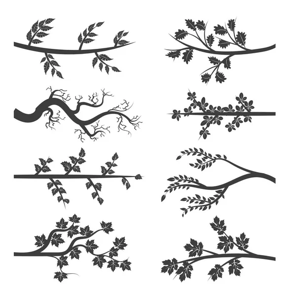 Branches d'arbres avec silhouette de feuilles — Image vectorielle