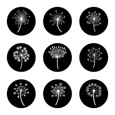 Siyah ve beyaz karahindiba Icon set