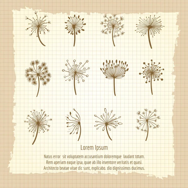 Vintage botanical poster with dandelion — Stock Vector