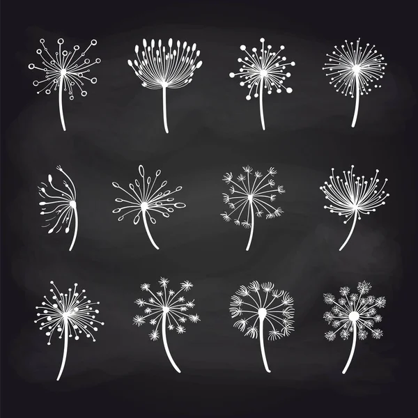 Dandelions chalk sketch on blackboard set — Stock Vector