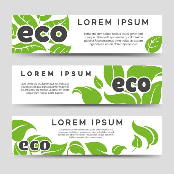 Modèle de bannières Eco avec feuilles vertes — Image vectorielle
