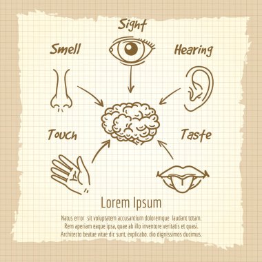 Human sense organs synopsis vintage poster clipart