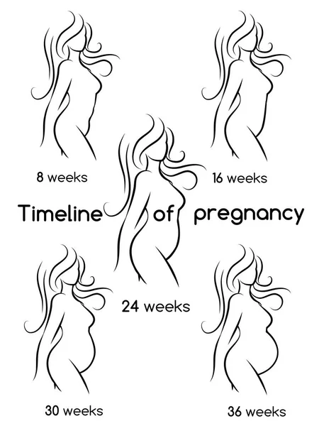 Timeline of pregnancy woman silhouettes — Stock Vector